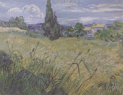 Vincent Van Gogh Green Wheat Field with Cypress (nn04) Germany oil painting art